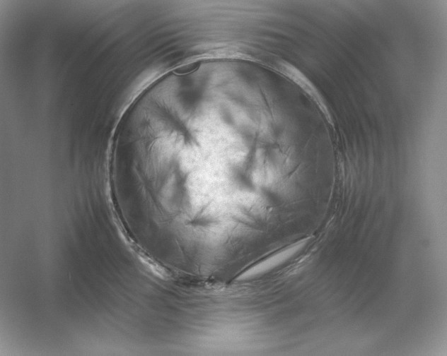 X0000053131002200507251744