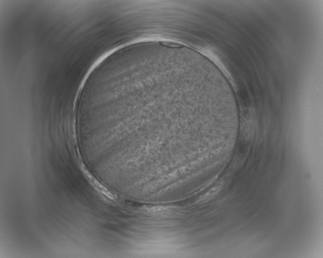 X0000053131004200507251744
