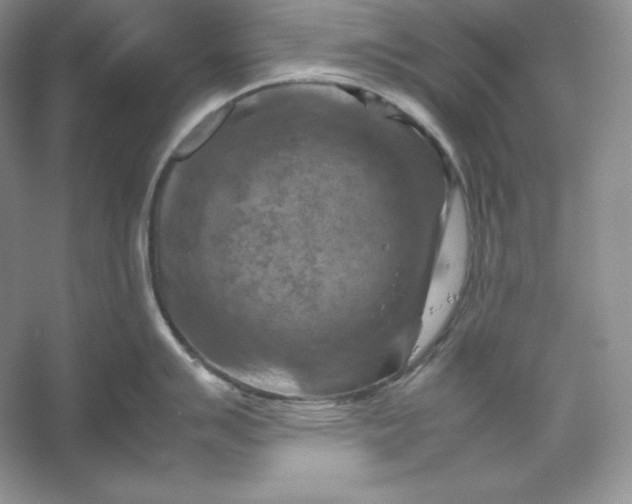 X0000053131007200507251744
