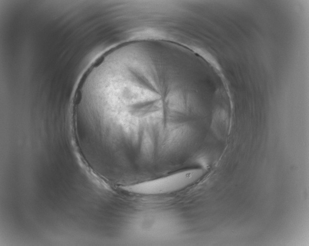 X0000053131008200507251744