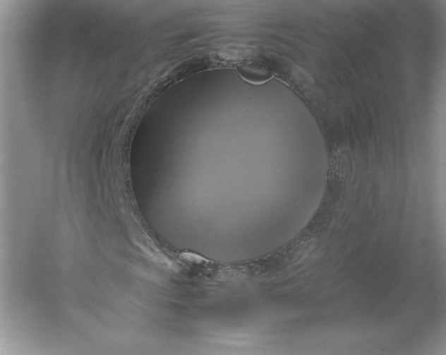 X0000053131009200507251743