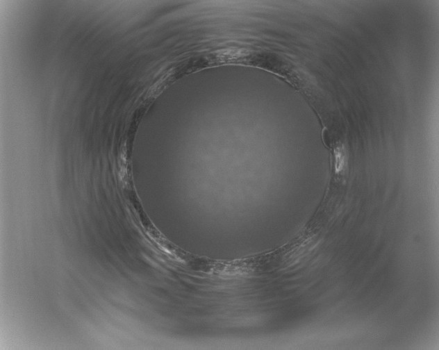 X0000053131011200507251743