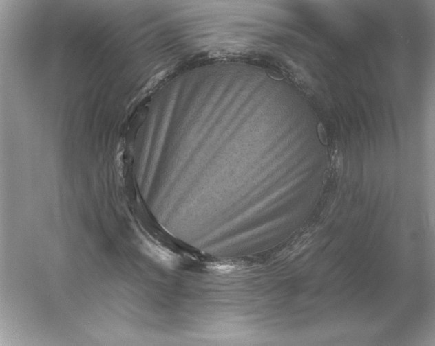 X0000053131012200507251743