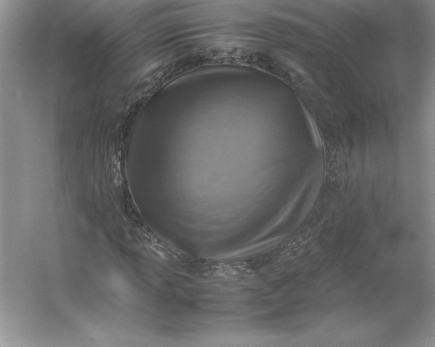 X0000053131013200507251743
