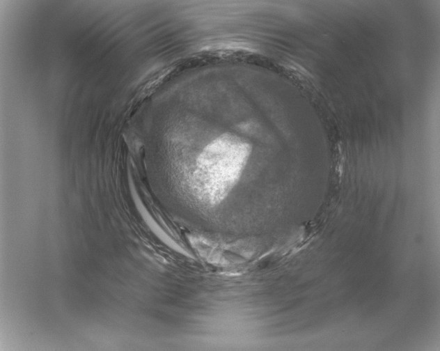 X0000053131014200507251743