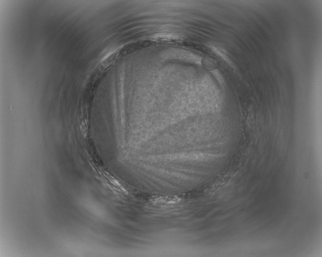 X0000053131015200507251743