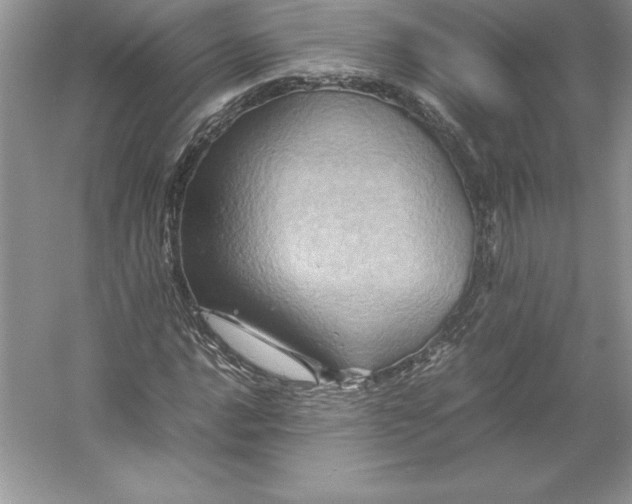 X0000053131016200507251744