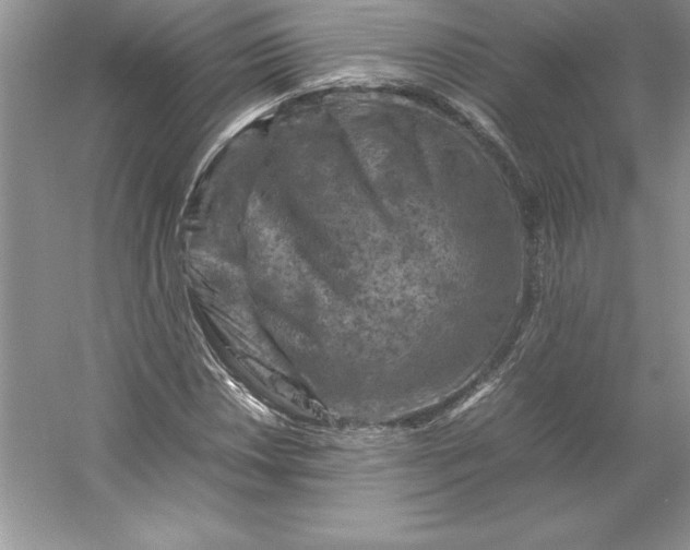 X0000053131018200507251744