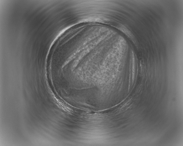 X0000053131020200507251744