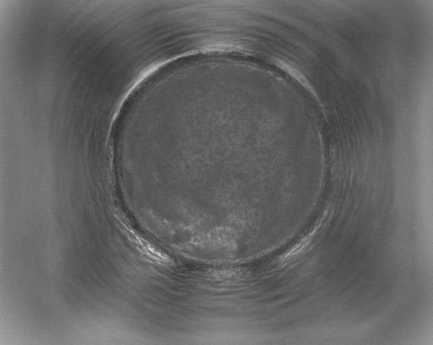 X0000053131021200507251744