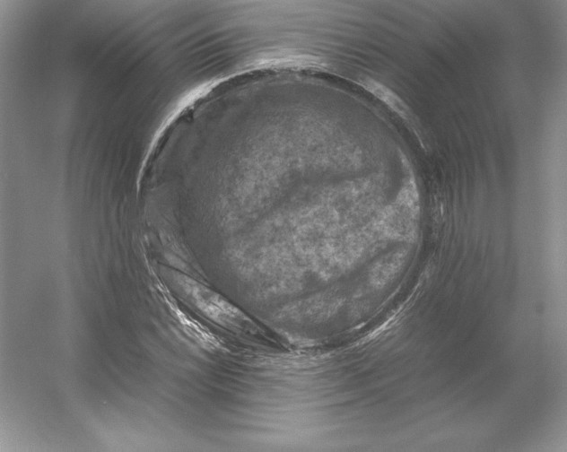 X0000053131022200507251744
