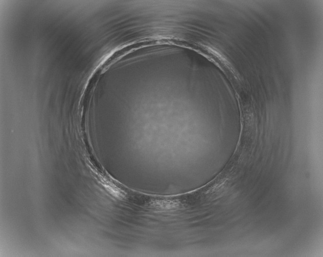 X0000053131023200507251744