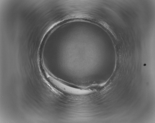 X0000053131024200507251744