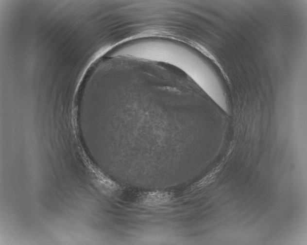 X0000053131029200507251744