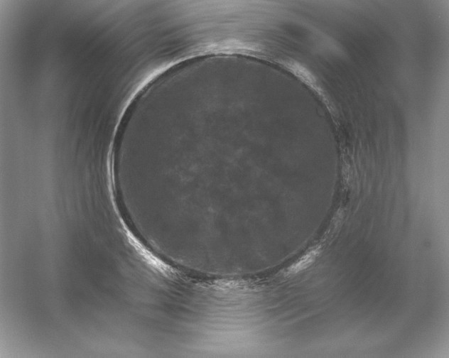 X0000053131032200507251744