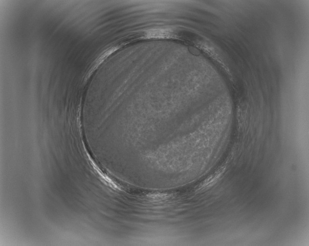 X0000053131033200507251744