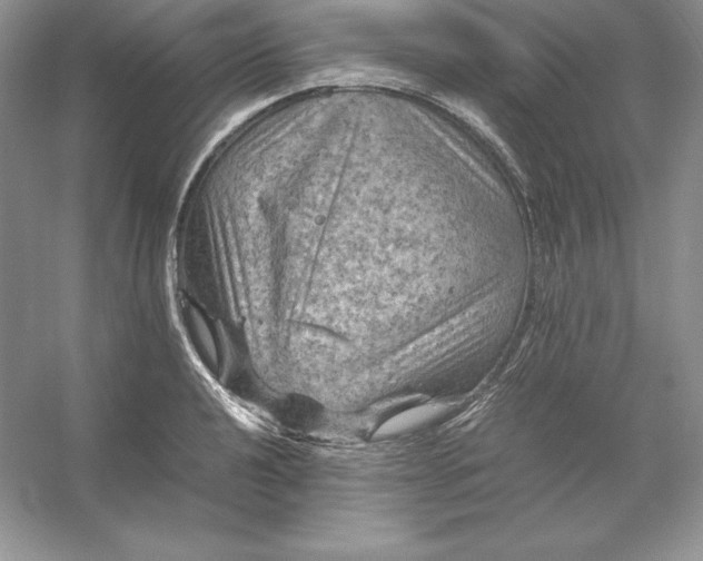 X0000053131040200507251744
