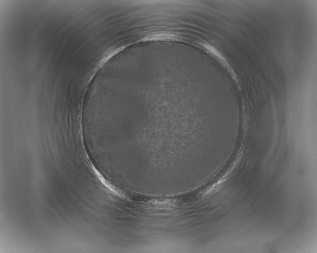 X0000053131041200507251744