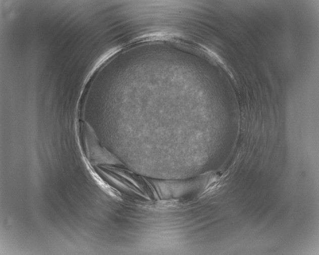 X0000053131042200507251744