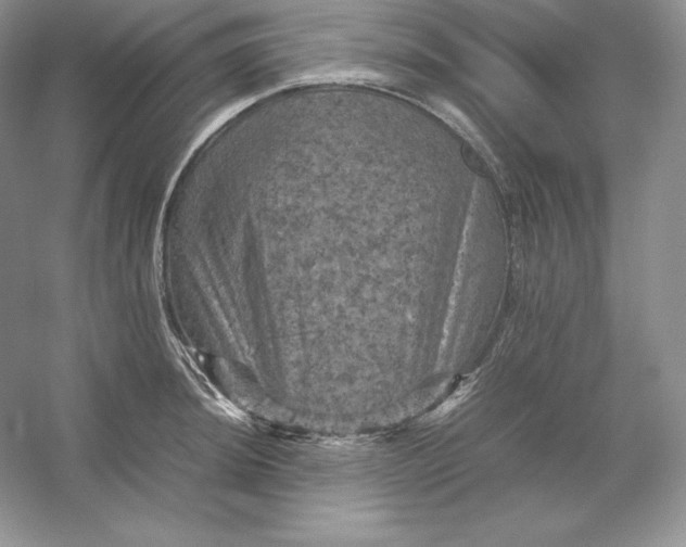 X0000053131044200507251744