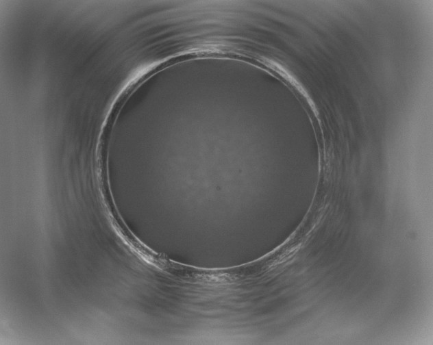 X0000053131045200507251744