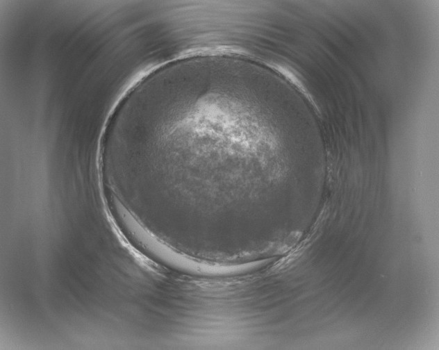 X0000053131046200507251744