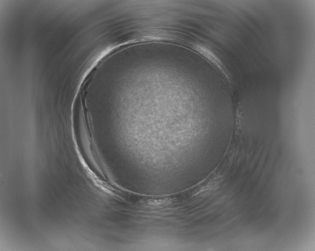 X0000053131047200507251744