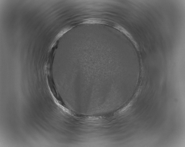 X0000053131049200507251744