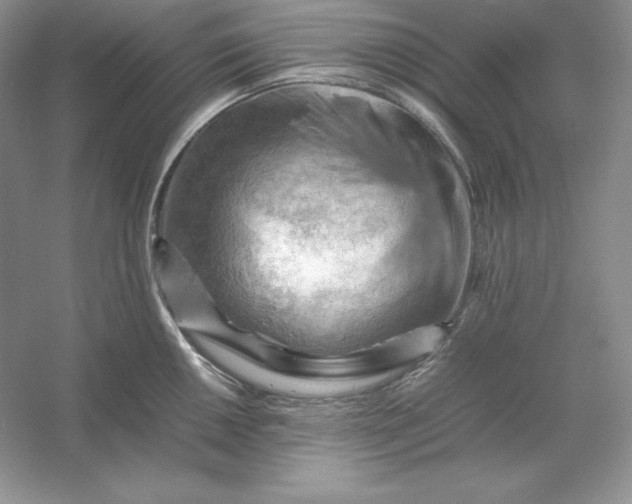 X0000053131050200507251744