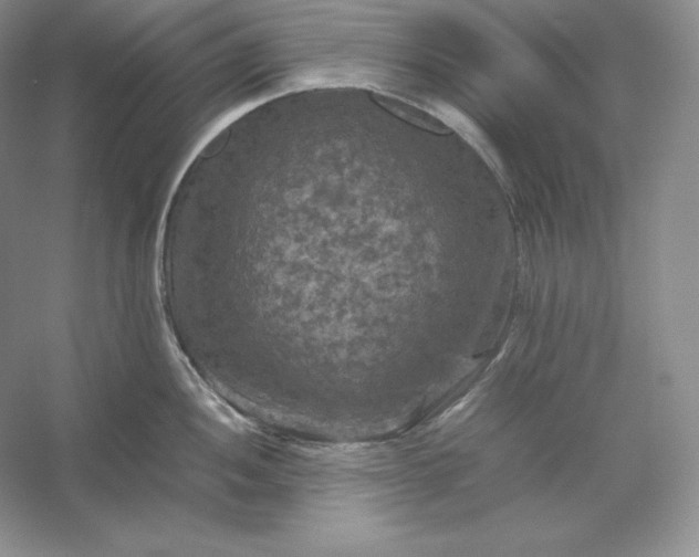 X0000053131052200507251744