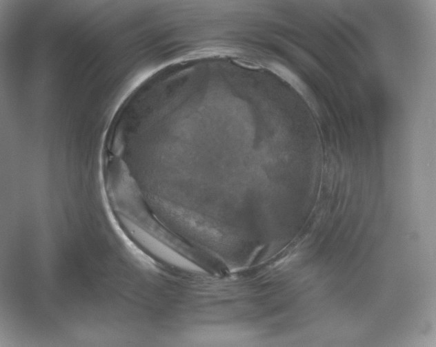 X0000053131055200507251744