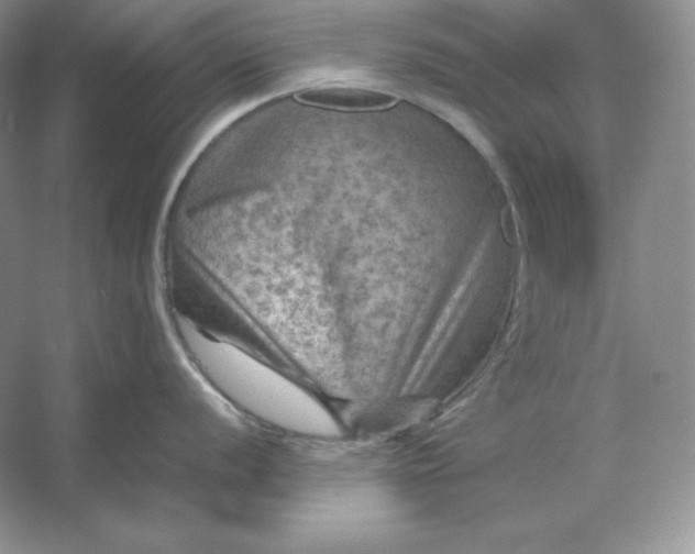 X0000053131056200507251744
