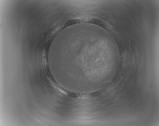 X0000053131058200507251743