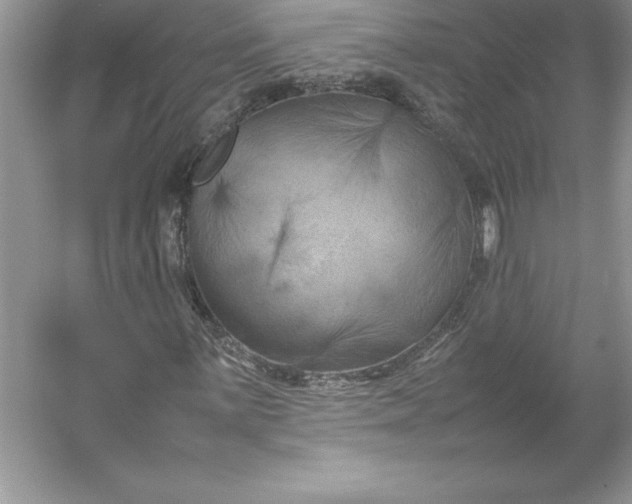 X0000053131059200507251743