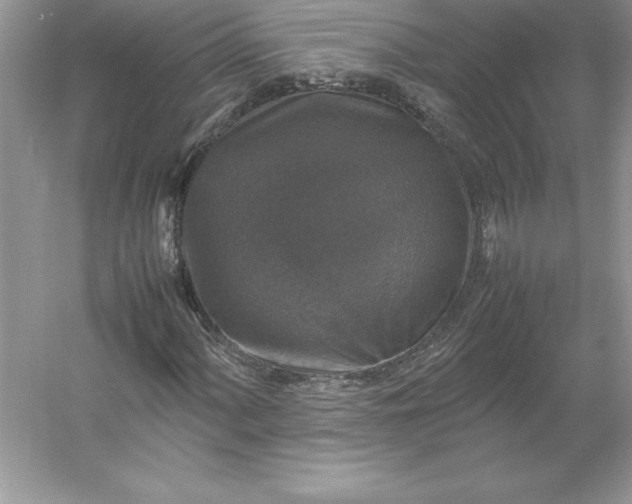 X0000053131060200507251743