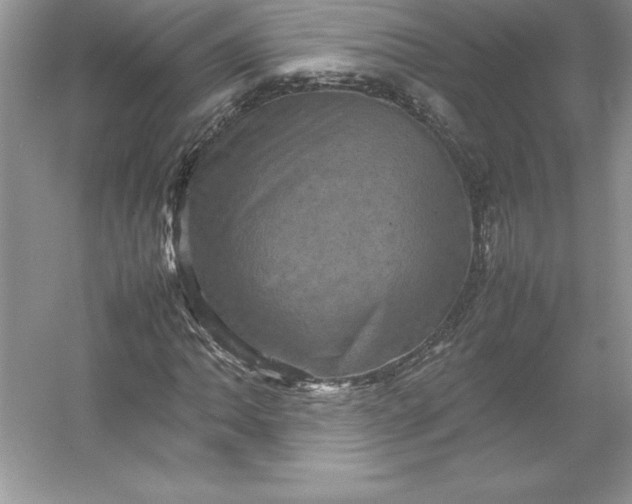 X0000053131062200507251743