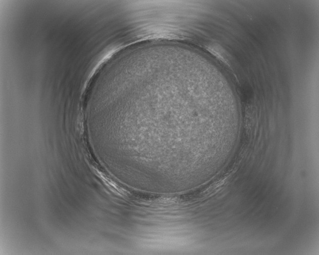 X0000053131067200507251743