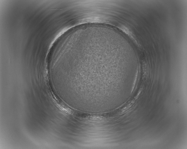 X0000053131070200507251743