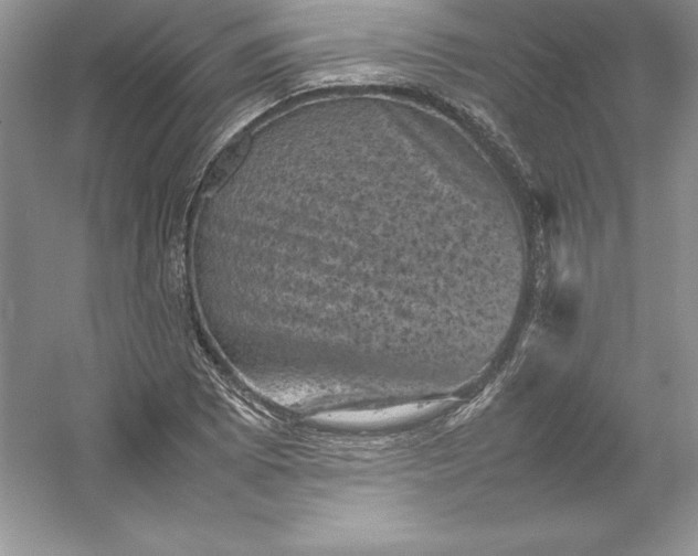 X0000053131073200507251743
