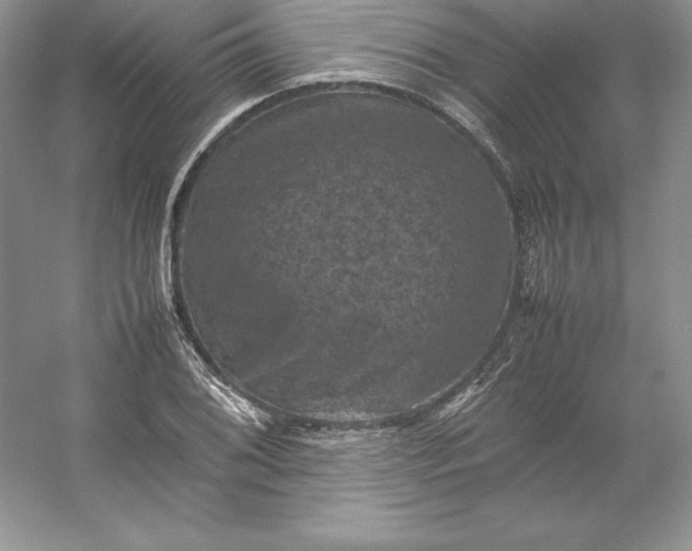 X0000053131076200507251743