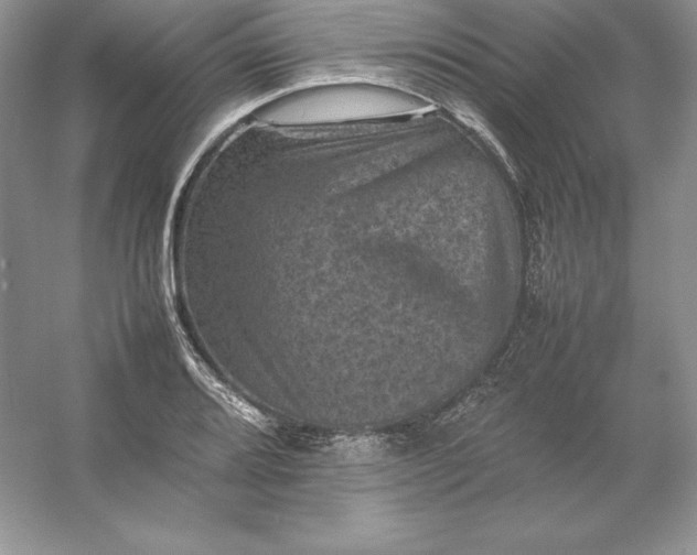 X0000053131080200507251743