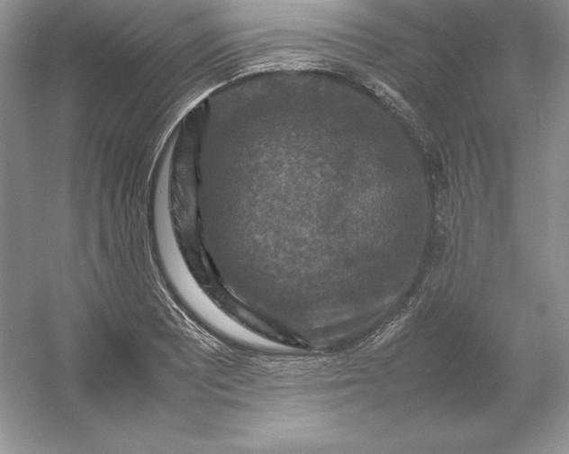X0000053131081200507251743