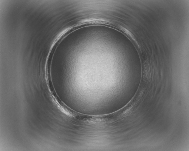 X0000053131082200507251743