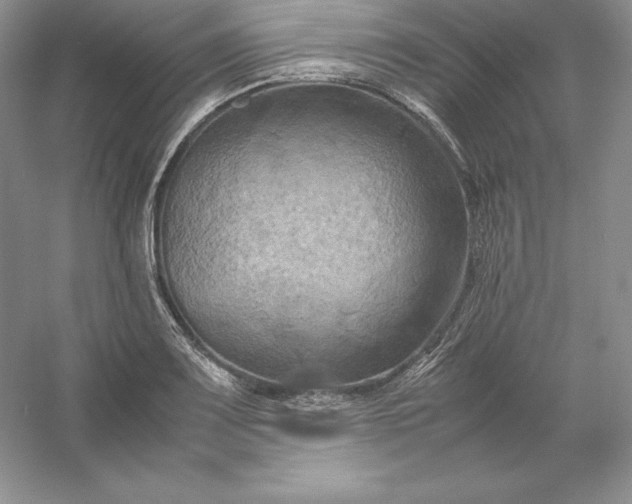 X0000053131083200507251743