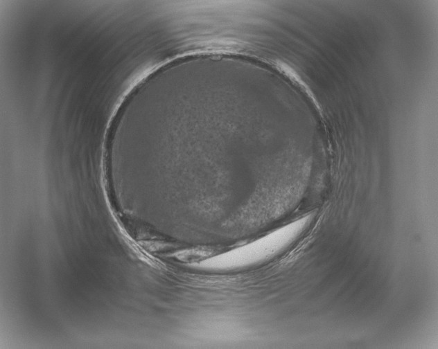 X0000053131085200507251743