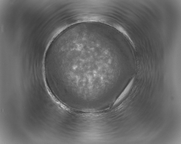 X0000053131088200507251743