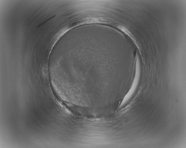 X0000053131089200507251743