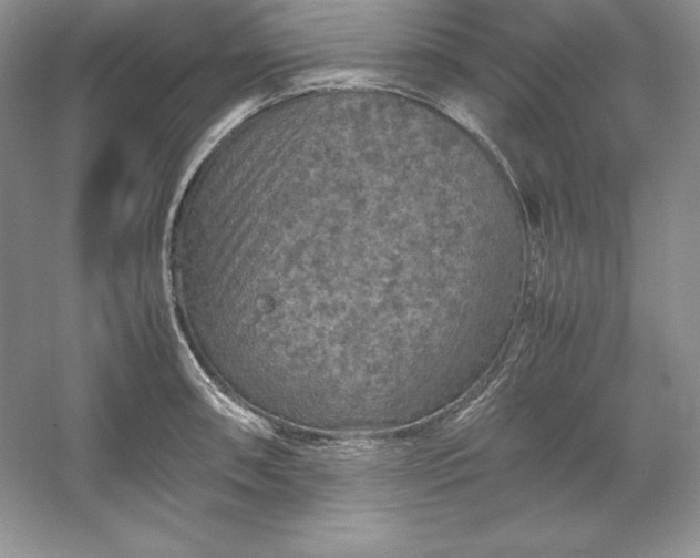 X0000053131090200507251743