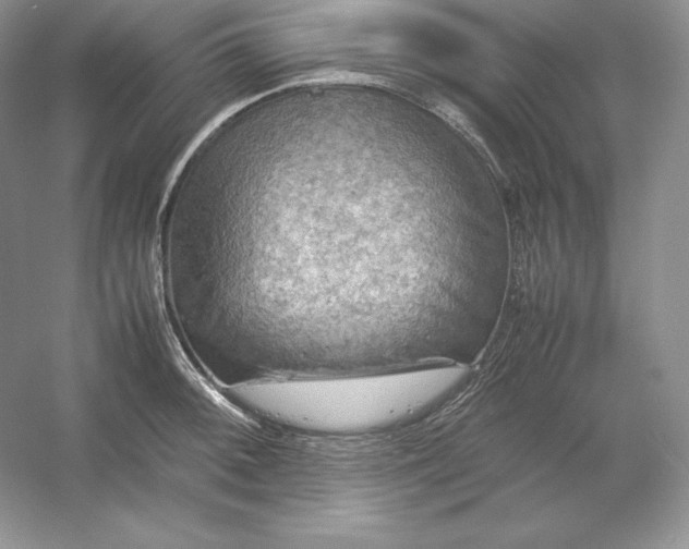 X0000053131092200507251743