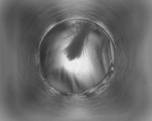 X0000053131097200507251743